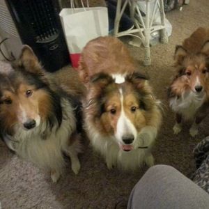 Meet your Posher, Janeen